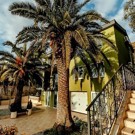 Olive Garden Apartment Petrovac 외부 사진