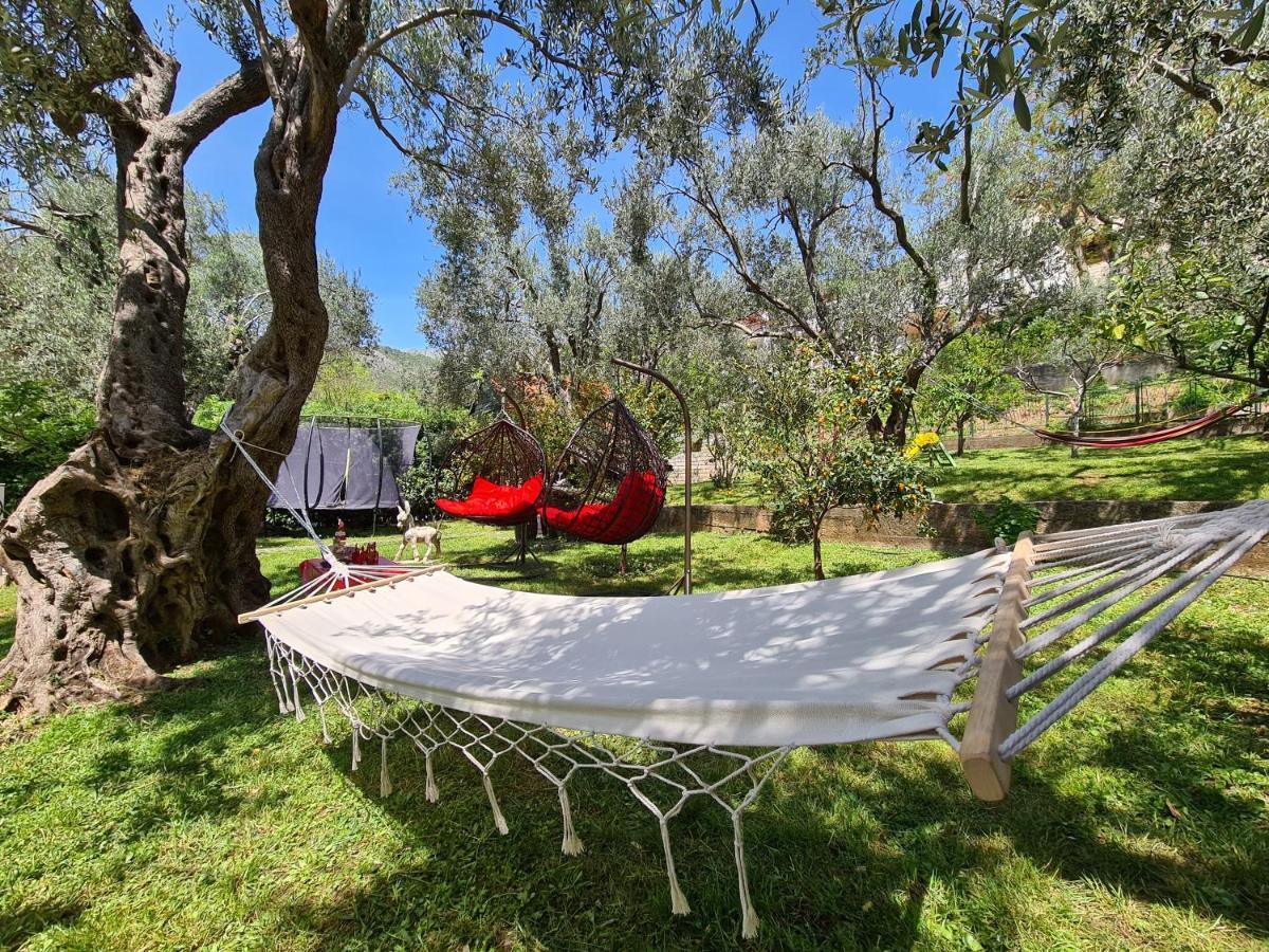 Olive Garden Apartment Petrovac 외부 사진