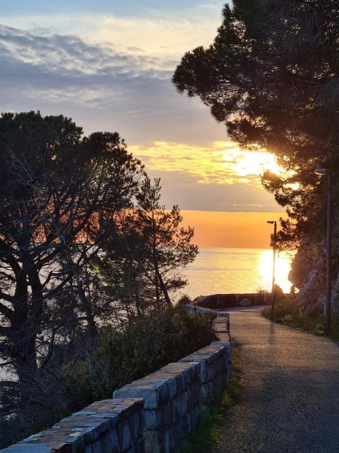 Olive Garden Apartment Petrovac 외부 사진