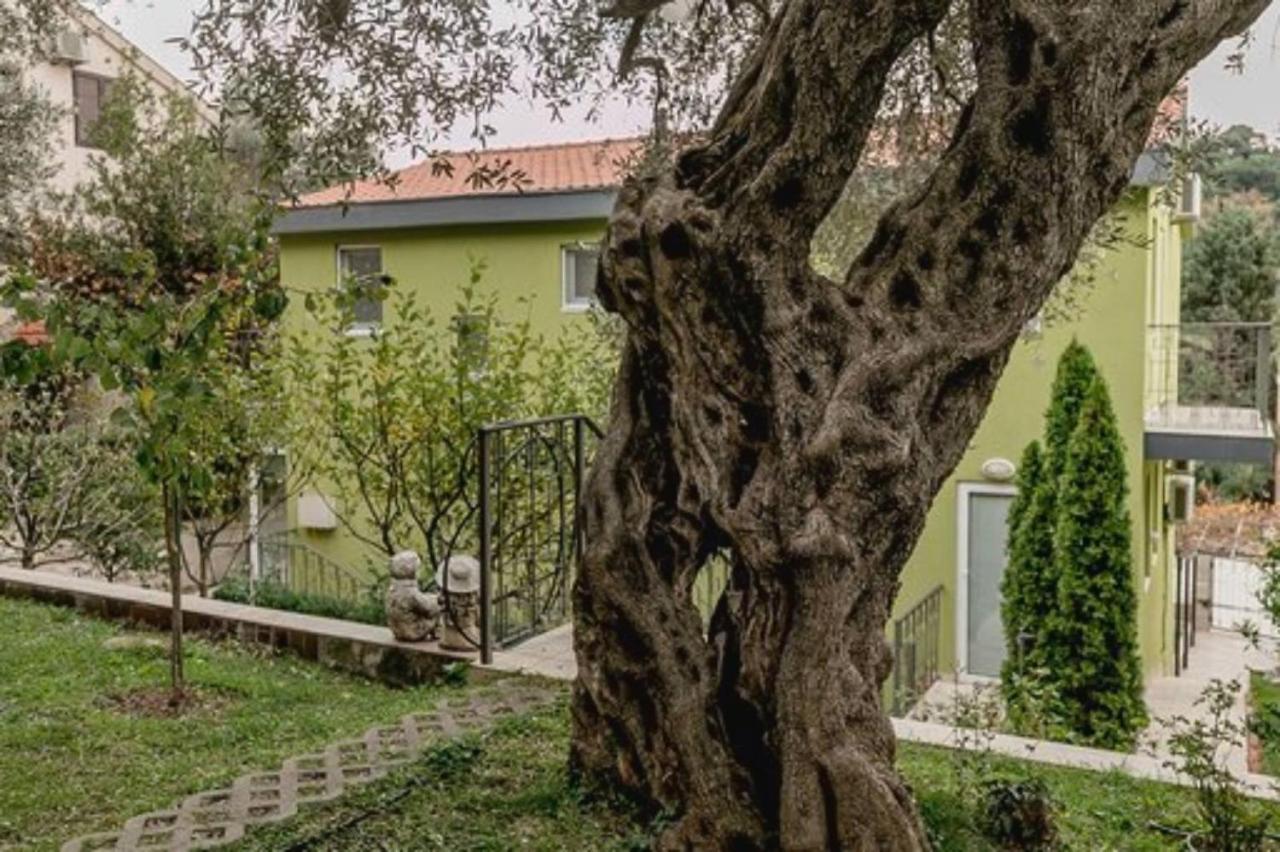 Olive Garden Apartment Petrovac 외부 사진